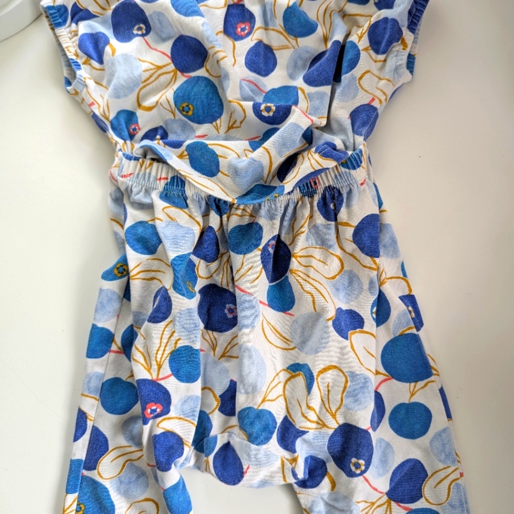 Blueberry Print Tea Collection Outfit - Picture 2 of 3